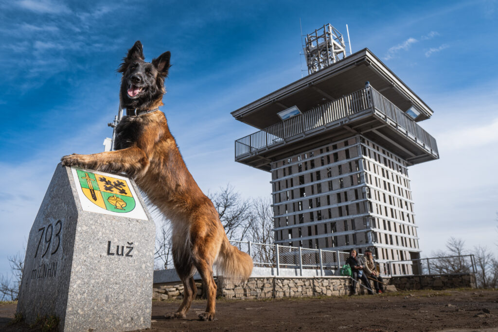 dovolená se psem luž lužicke hory