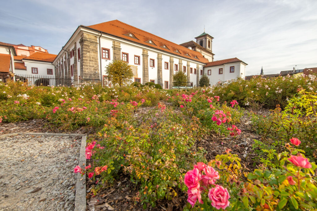 muzeum česká lípa