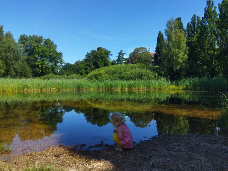 IMG_20220718_101751_1