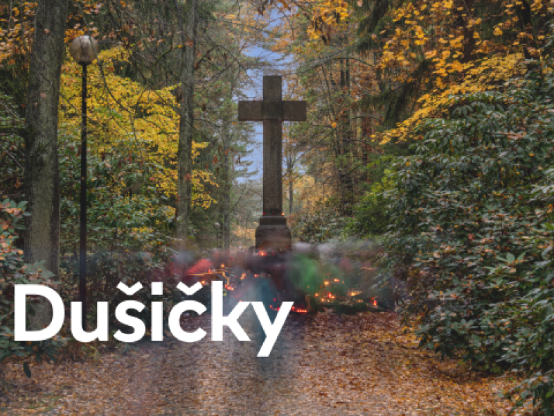dšičky